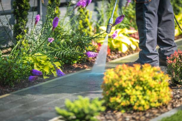 Best Restaurant Pressure Washing  in Port Aransas, TX